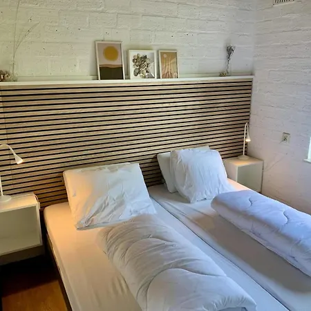 In Dune Area Of Sint Maartenszee *