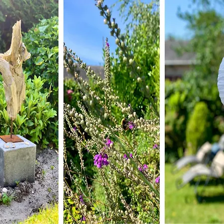 Dom wakacyjny In Dune Area Of Sint Maartenszee