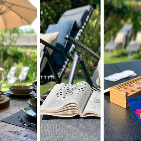 In Dune Area Of Sint Maartenszee *