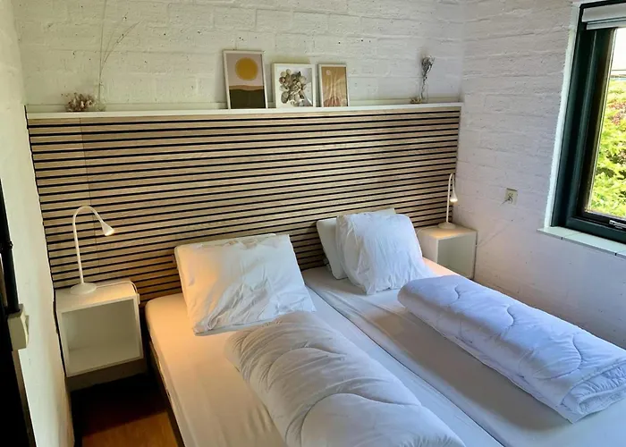 In Dune Area Of Sint Maartenszee *