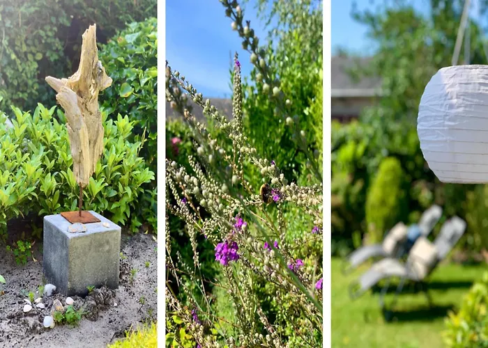 Dom wakacyjny In Dune Area Of Sint Maartenszee