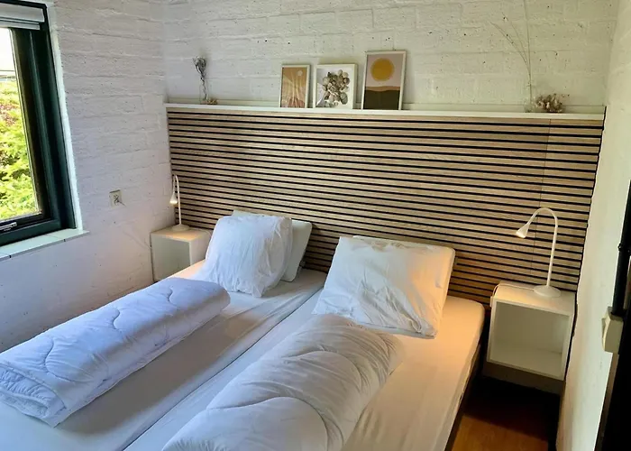 In Dune Area Of Sint Maartenszee