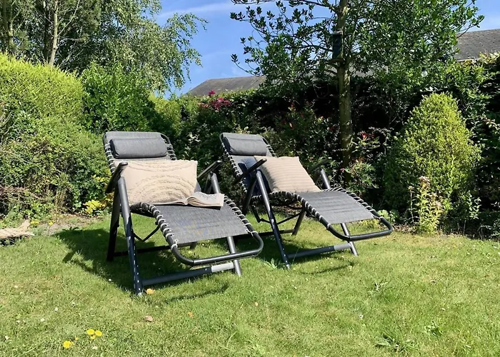 In Dune Area Of Sint Maartenszee *